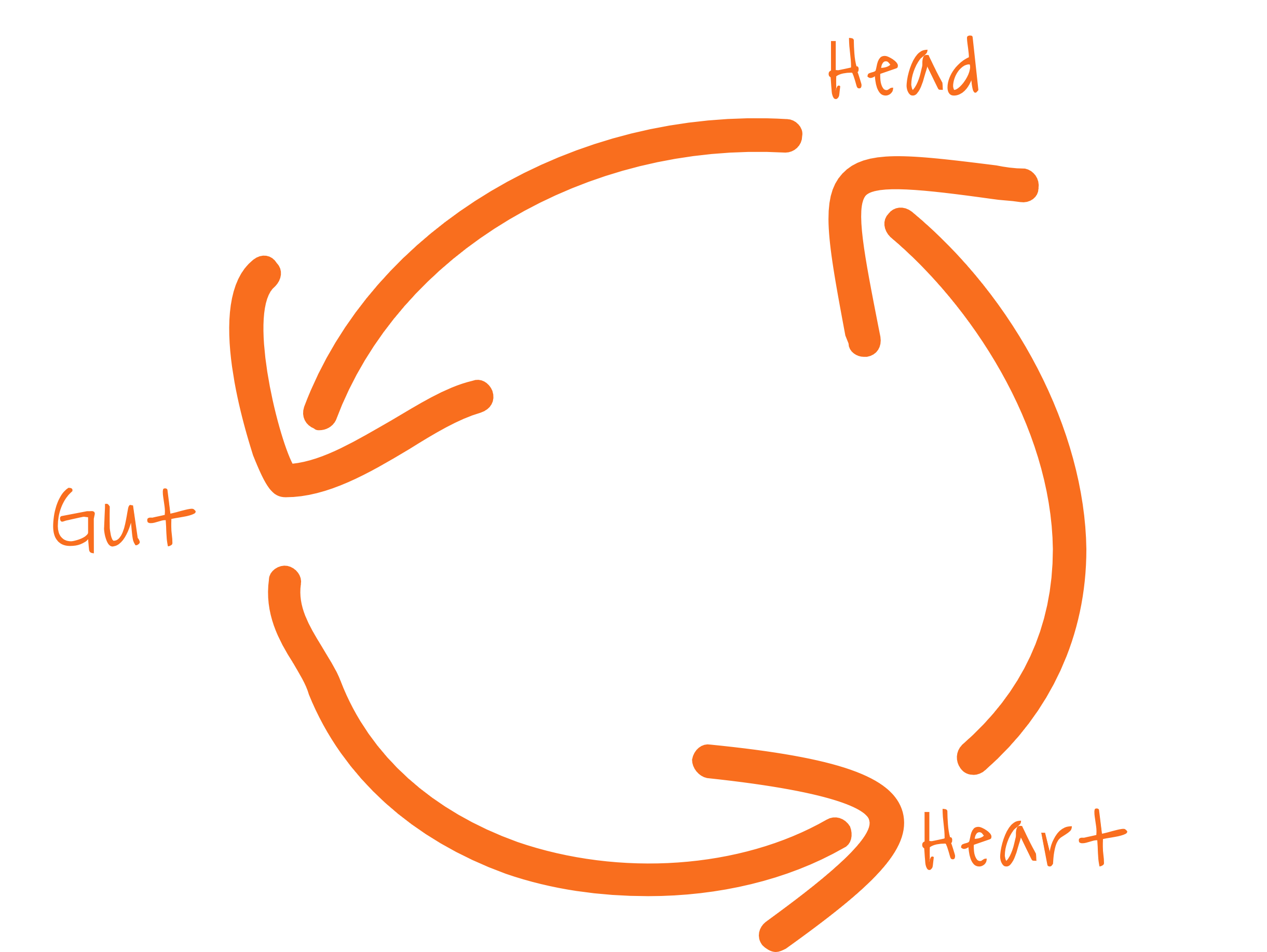 Embodied perception